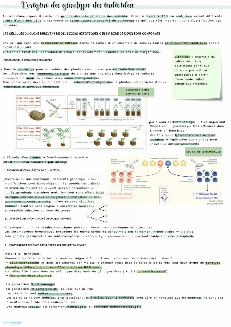 Know L’origine du génotype des individus  thumbnail