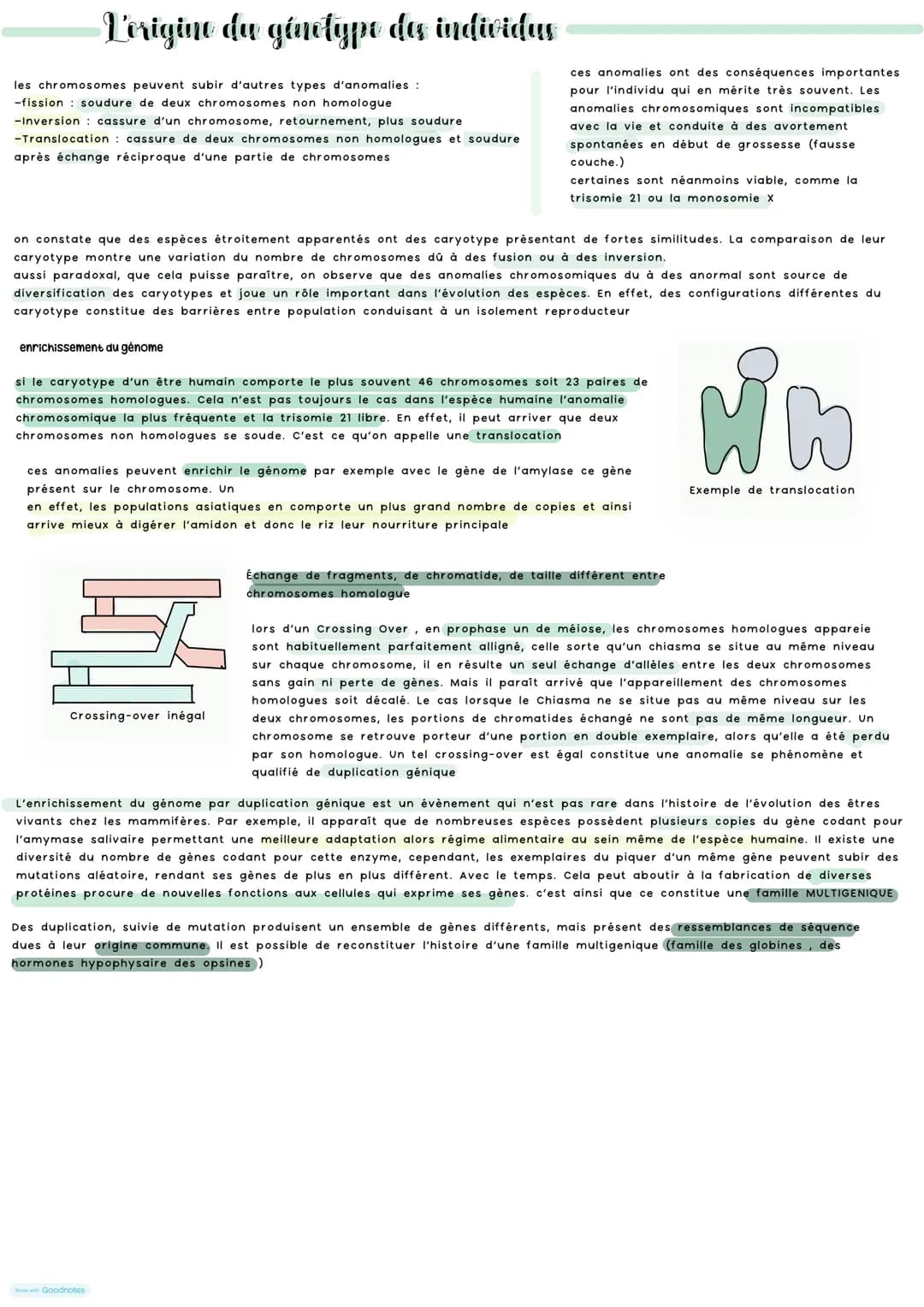 Vorigine du génotype des individus
Au sein d'une espèce il existe une grande diversité génétique des individus. Grace a diversité ADN car mu