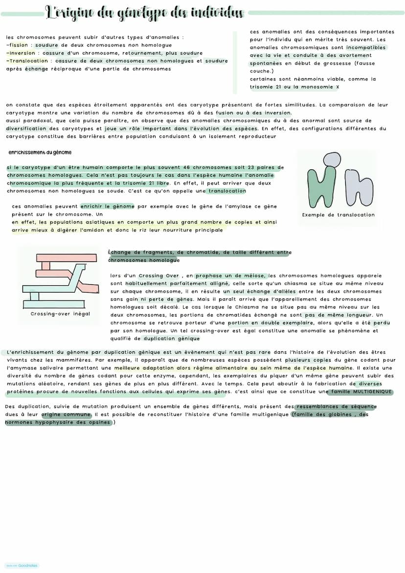 Vorigine du génotype des individus
Au sein d'une espèce il existe une grande diversité génétique des individus. Grace a diversité ADN car mu