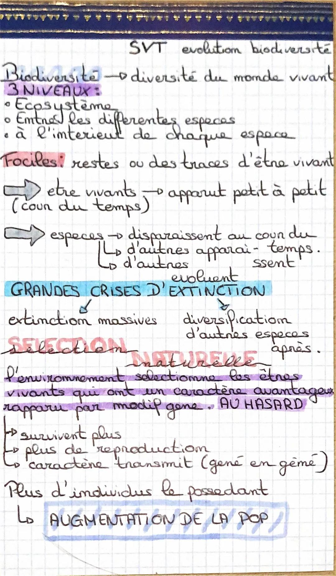 l’évolution et la biodiversité 