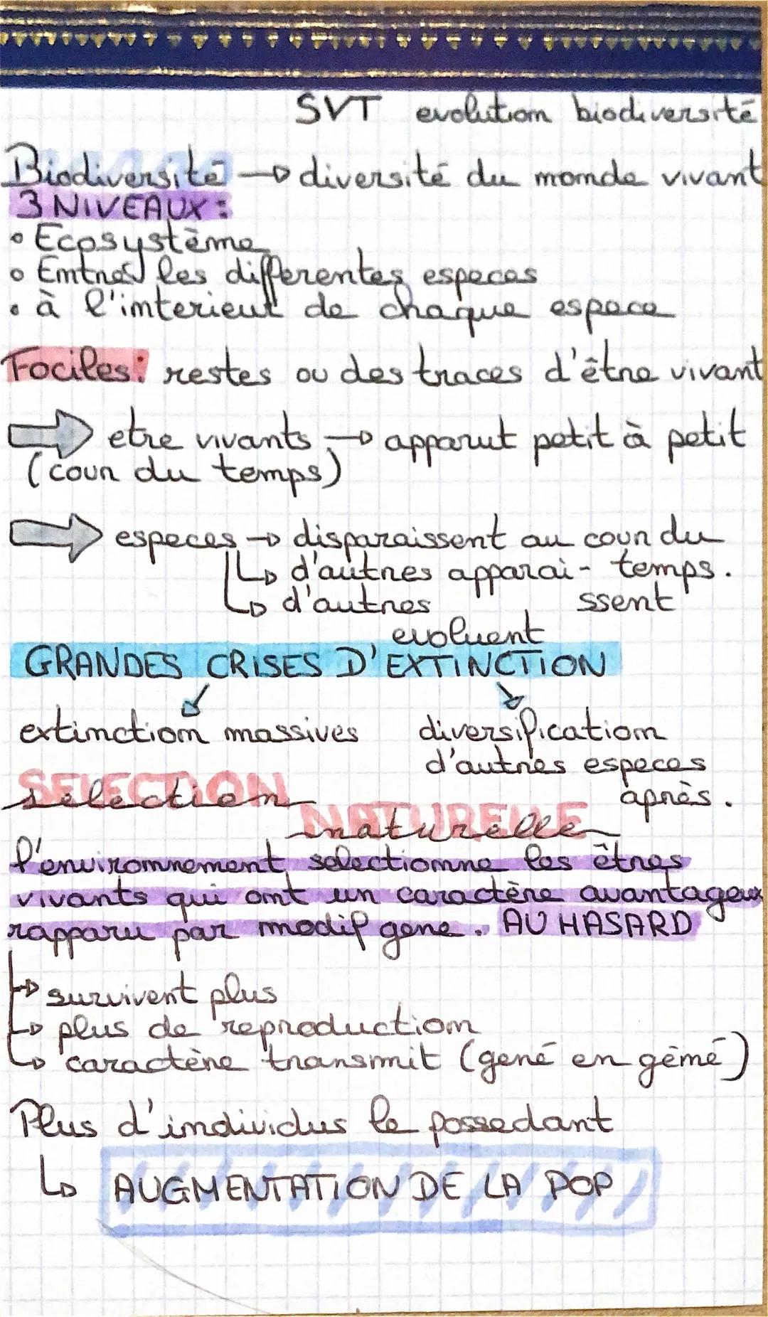 SVT evolution biodiversité
Biodiversité - diversité du monde vivant
3 NIVEAUXI
Ecosystème
• Emines les differentes espaces
• à l'interient d