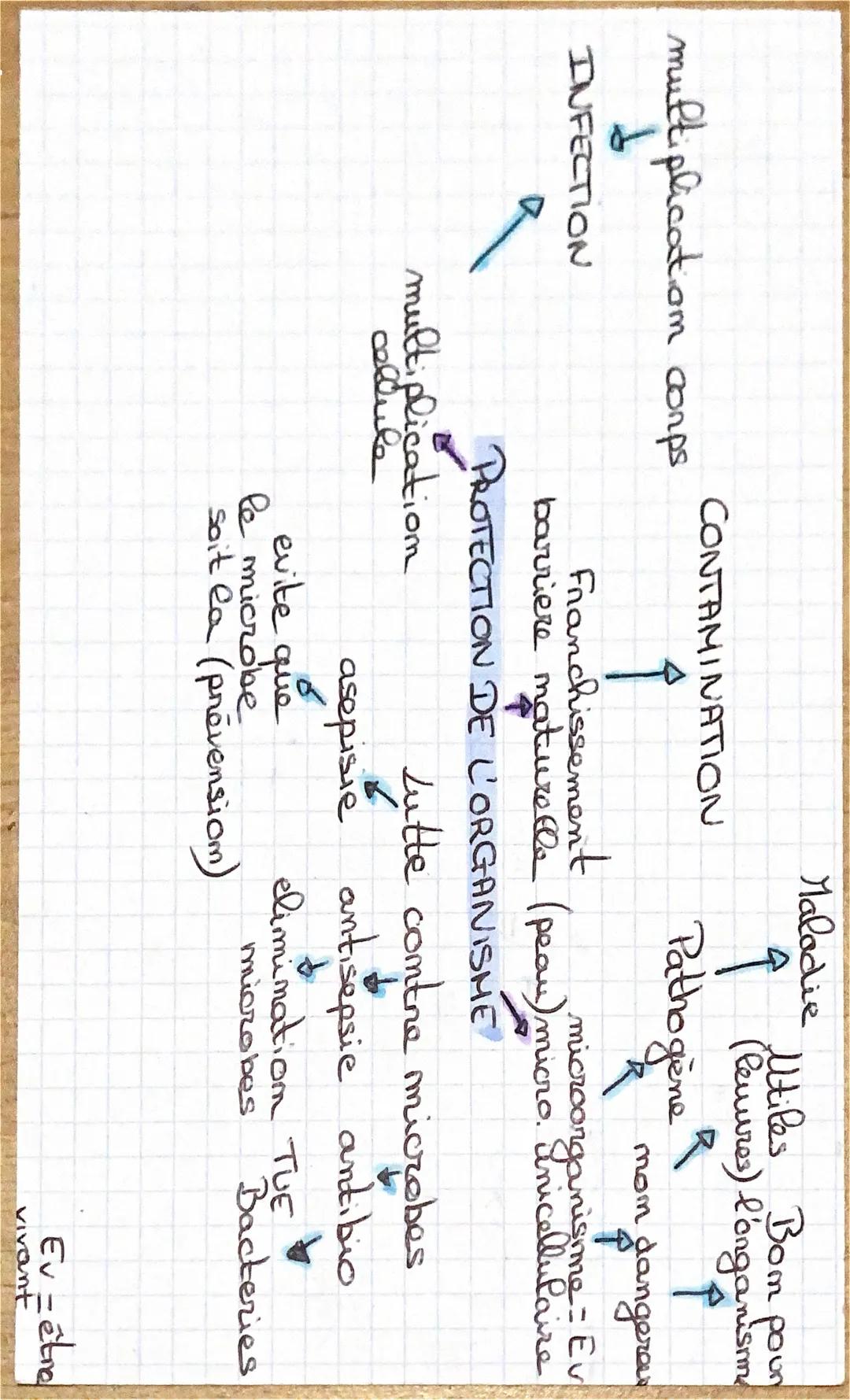 SVT evolution biodiversité
Biodiversité - diversité du monde vivant
3 NIVEAUXI
Ecosystème
• Emines les differentes espaces
• à l'interient d