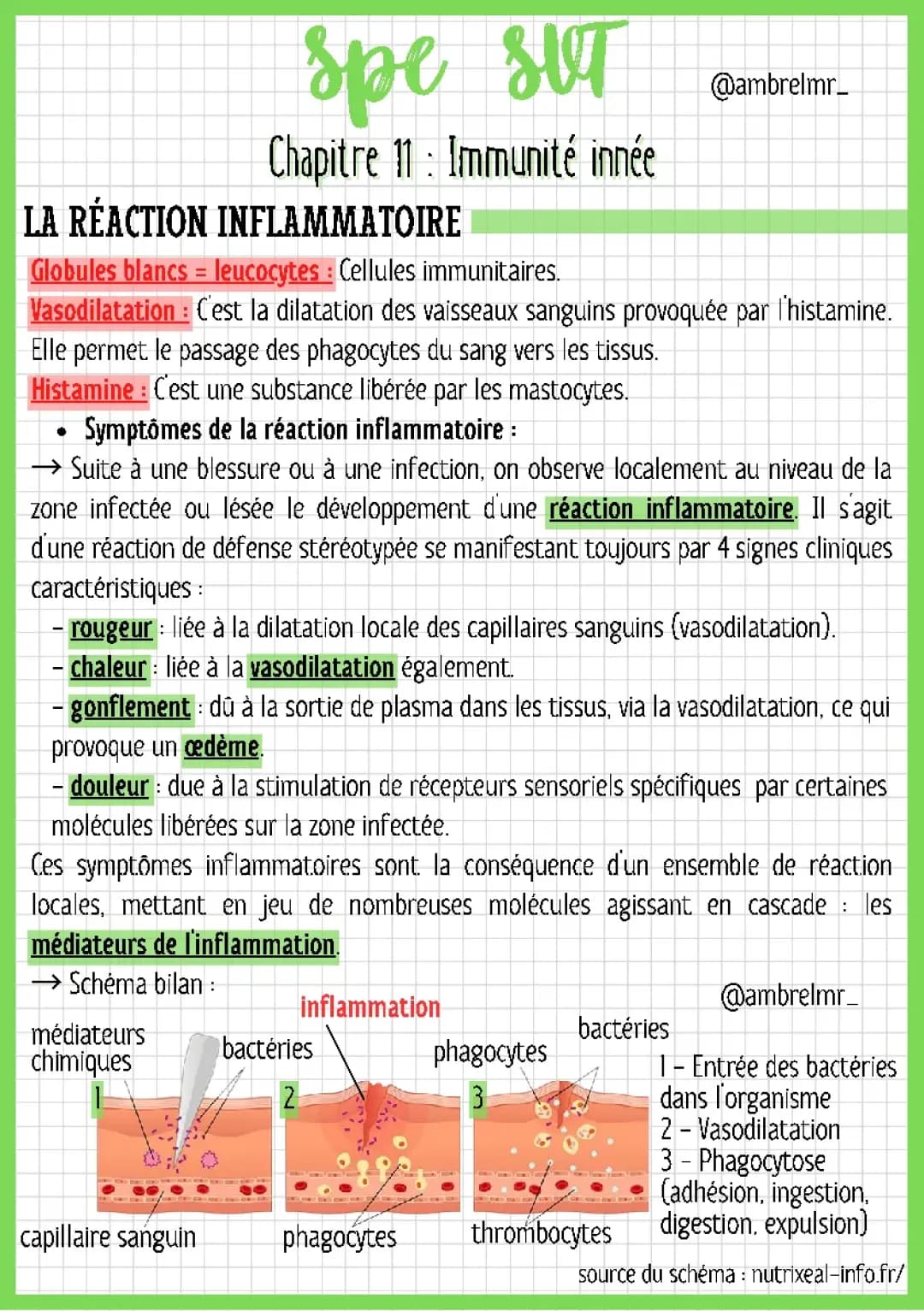 Immunité Innée et Réactions Inflammatoires : Étapes et Schémas