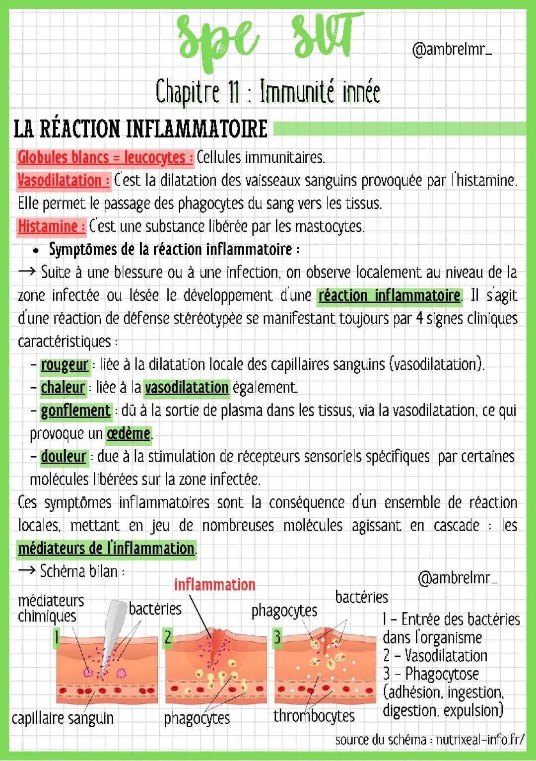 Immunité Innée et Réactions Inflammatoires : Étapes et Schémas