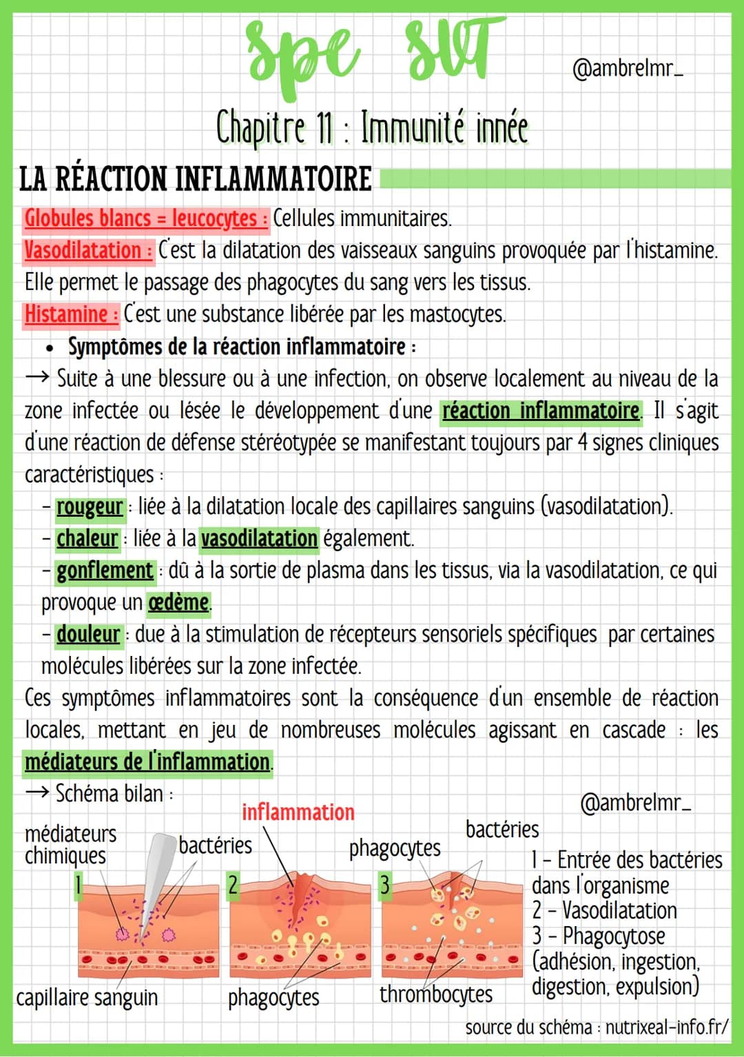 ●
spe str
SUT
LA RÉACTION
Globules blancs = leucocytes : Cellules immunitaires.
Vasodilatation : C'est la dilatation des vaisseaux sanguins 
