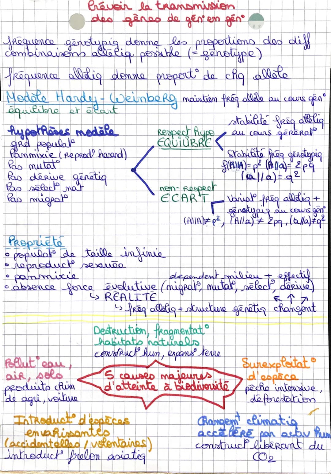 Prévoir la transmission
des gênes de gen'em gên°
fréquence génotypig donne les proportions des diff
combinaisons allelia possible (=genotype