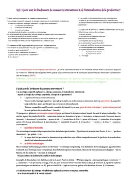 Know fiche ses : commerce international thumbnail