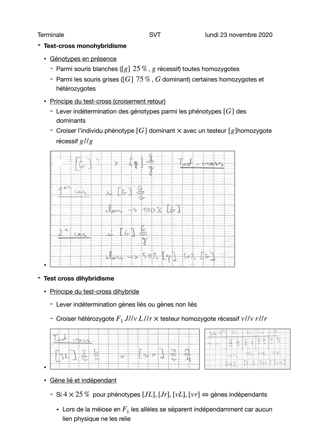 # Terminale

# SVT

lundi 23 novembre 2020

# Etude génétique et formalisme

Sujet général

- Etudes

- Monohybridisme: étude transmission u