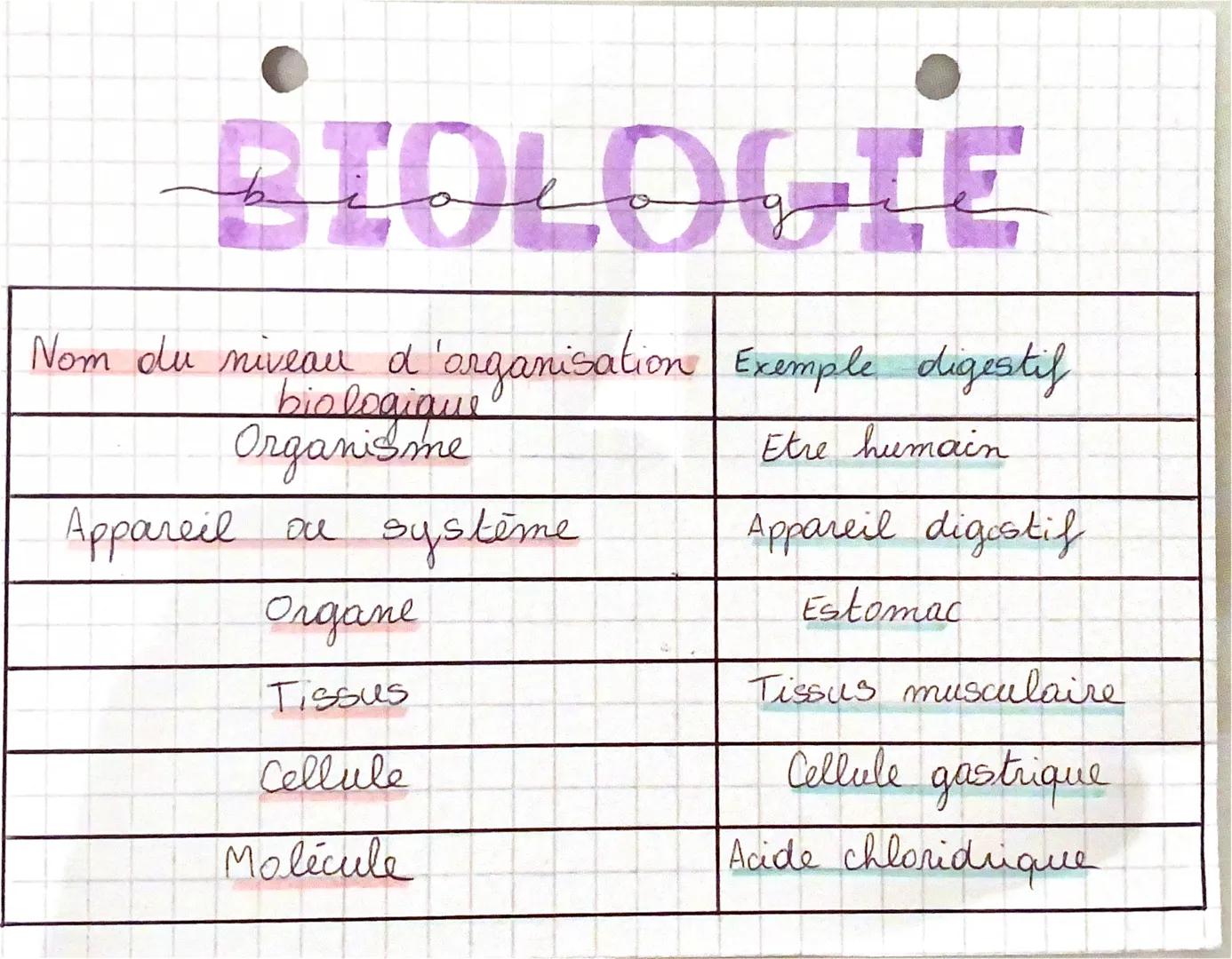 # BIOLOGIE

Anatomie: Etude de la structure et de la forme des être
organisés anisi que des rapports entre leurs différents
organes. (-tomie