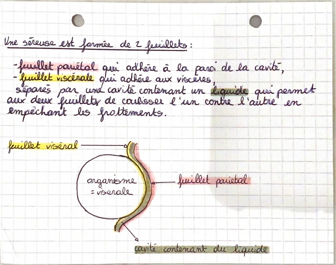 # BIOLOGIE

Anatomie: Etude de la structure et de la forme des être
organisés anisi que des rapports entre leurs différents
organes. (-tomie