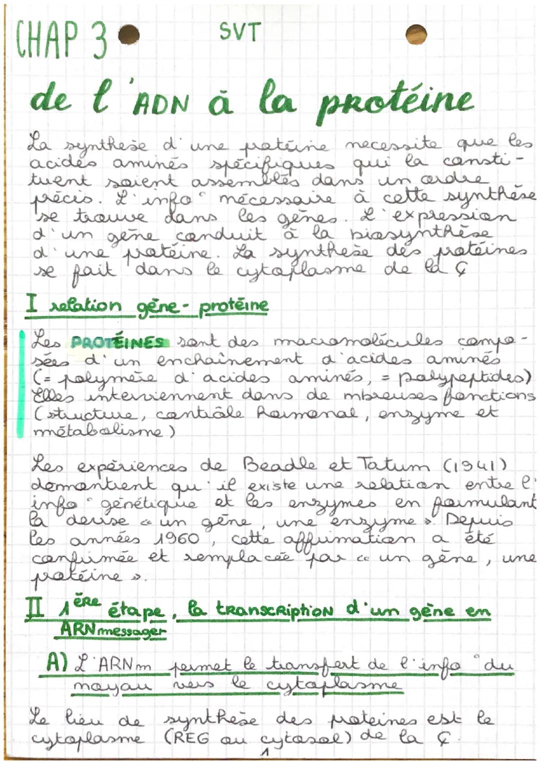 CHAP 3
SVT
de l'ADN à la protéine

La synthese d' une patsine necessite que les
acides amines a specifige
spécifiques qui la cansti-
tuent s