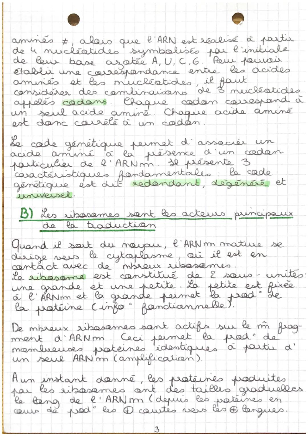 CHAP 3
SVT
de l'ADN à la protéine

La synthese d' une patsine necessite que les
acides amines a specifige
spécifiques qui la cansti-
tuent s