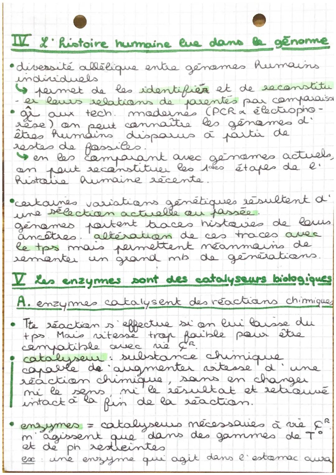 CHAP 3
SVT
de l'ADN à la protéine

La synthese d' une patsine necessite que les
acides amines a specifige
spécifiques qui la cansti-
tuent s