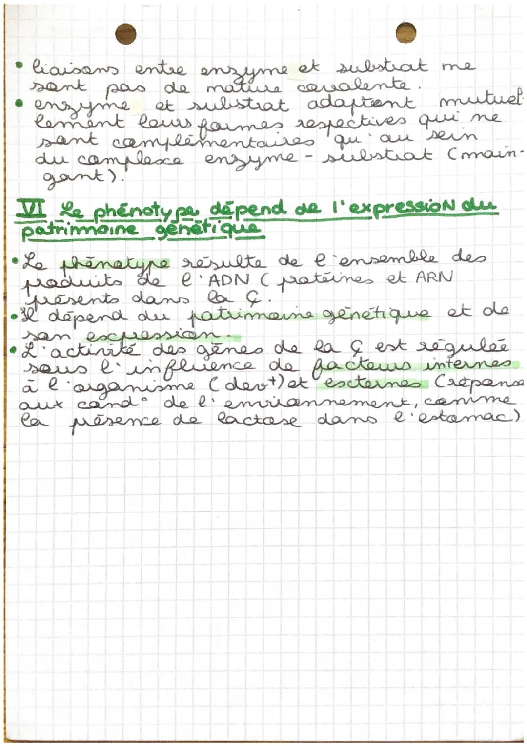 CHAP 3
SVT
de l'ADN à la protéine

La synthese d' une patsine necessite que les
acides amines a specifige
spécifiques qui la cansti-
tuent s