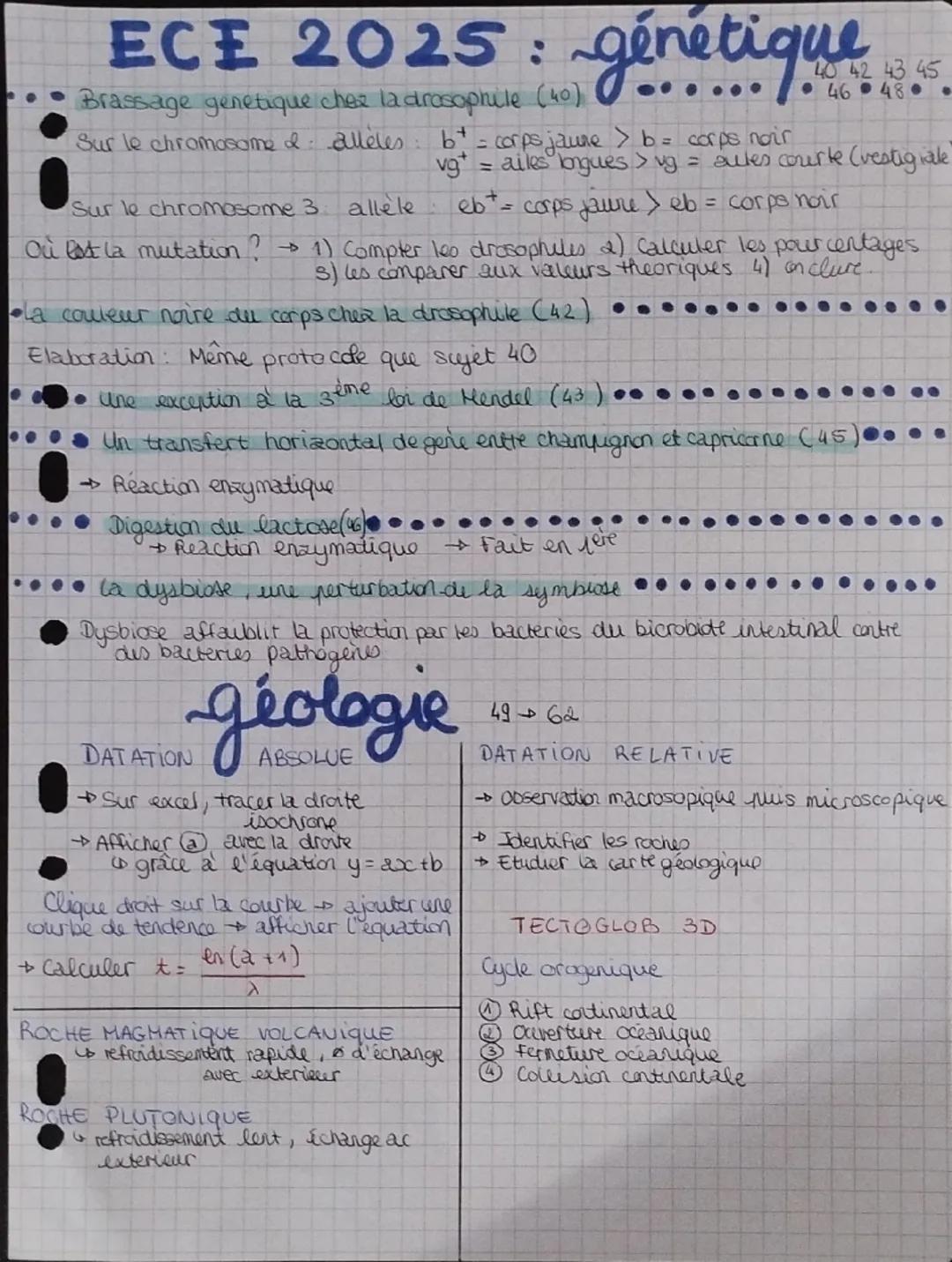 ECE 2025: génétique ..
Brassage genetique chez la drosophile (40)
Sur le chromosome & alleles: b+ = corps jaune > b = corps noir
Sur le chro