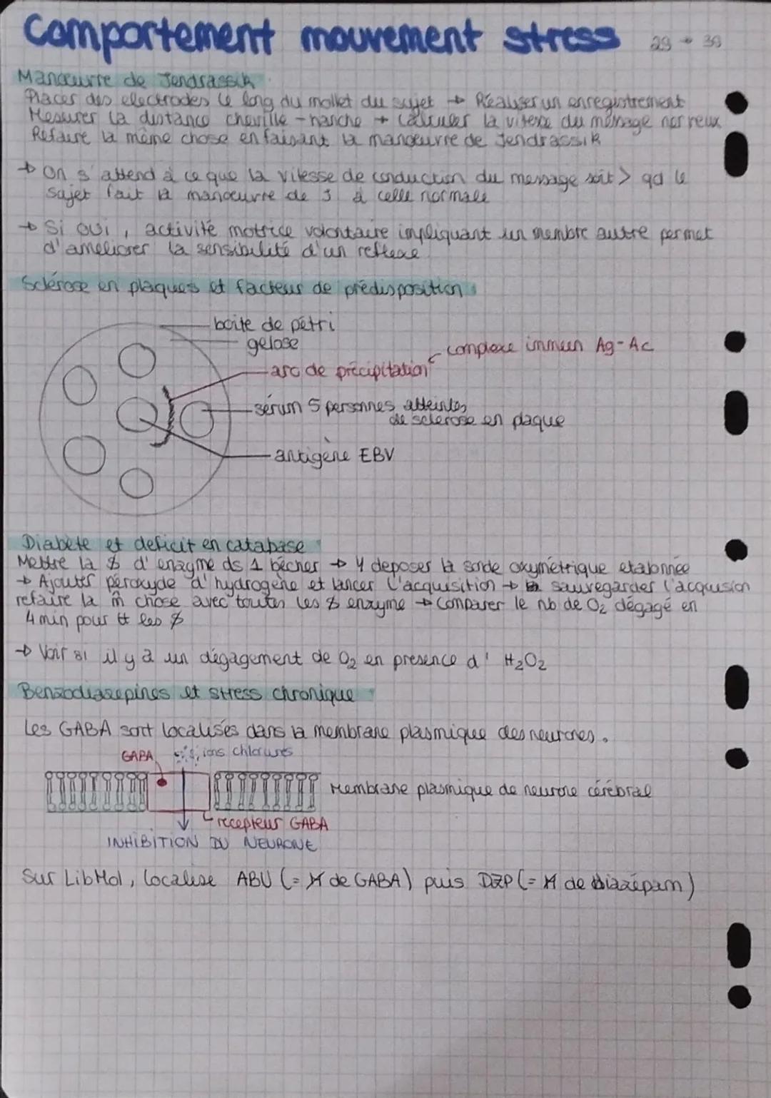 ECE 2025: génétique ..
Brassage genetique chez la drosophile (40)
Sur le chromosome & alleles: b+ = corps jaune > b = corps noir
Sur le chro