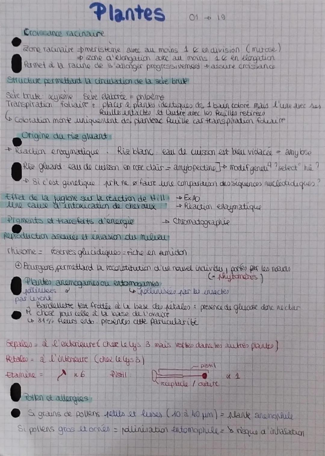 ECE 2025: génétique ..
Brassage genetique chez la drosophile (40)
Sur le chromosome & alleles: b+ = corps jaune > b = corps noir
Sur le chro