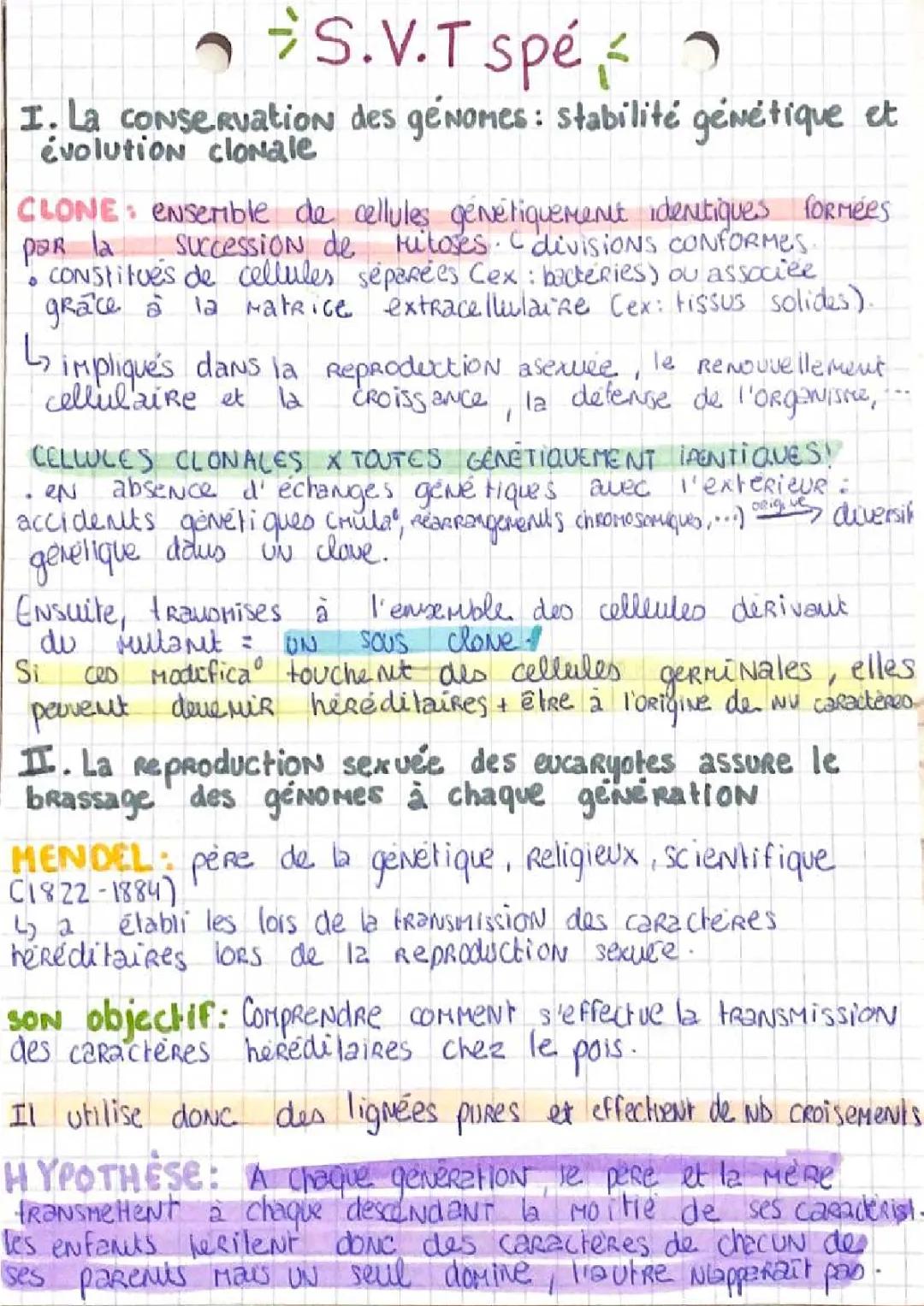 L’origine du génotype des individus