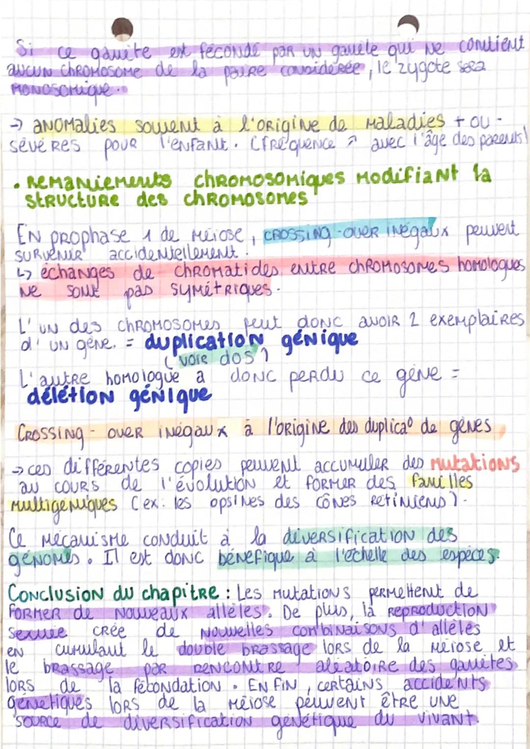S.V.T spé
I. La conservation des géNomes: stabilité génétique et
évolution clonale
CLONE: ensemble de cellules génétiquement identiques form