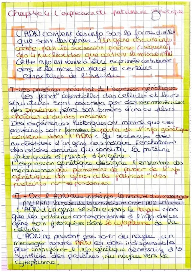 Know L’expression du patrimoine génétique  thumbnail