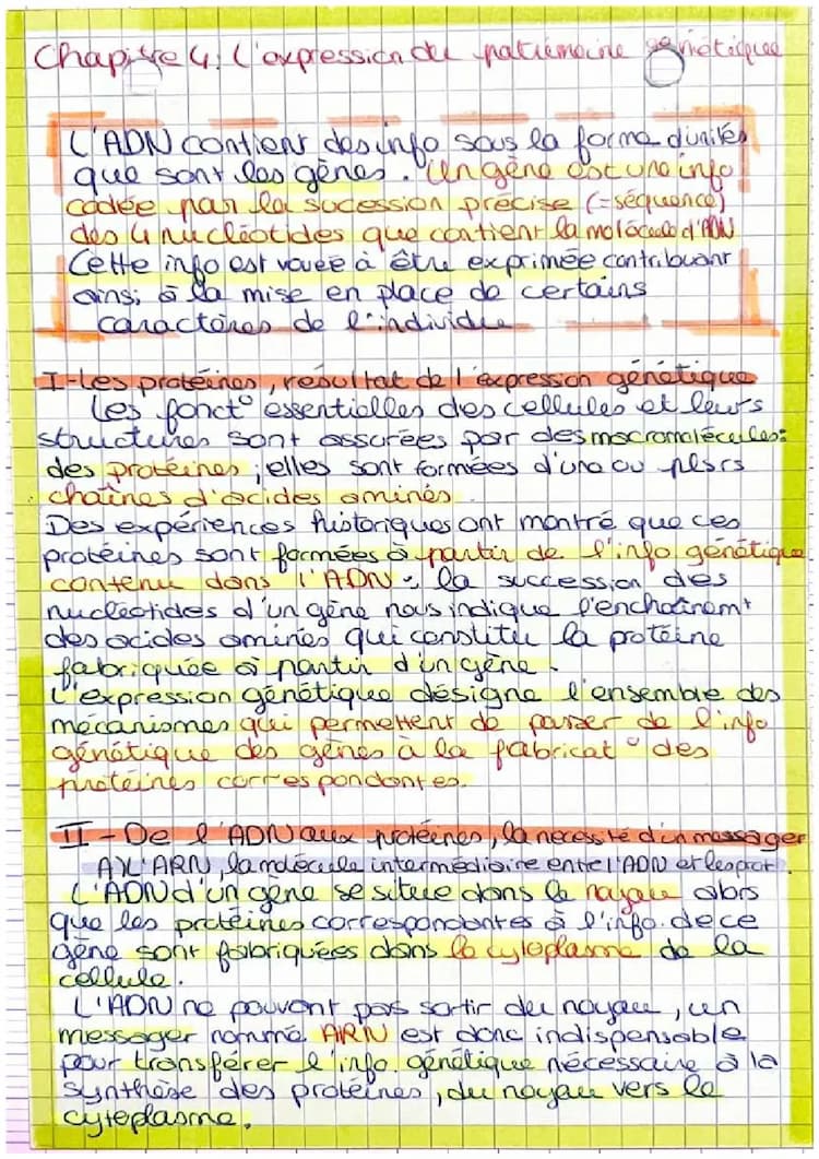 Know L’expression du patrimoine génétique  thumbnail