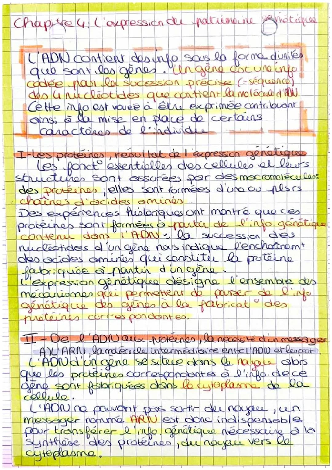 L’expression du patrimoine génétique 