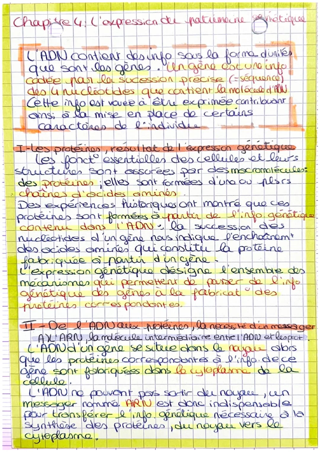 Chapise 4. ('expression du patrimoine natique
LADN contient des info sous la forme d'unités
que sont les gènes. Un gène est une info
codée p