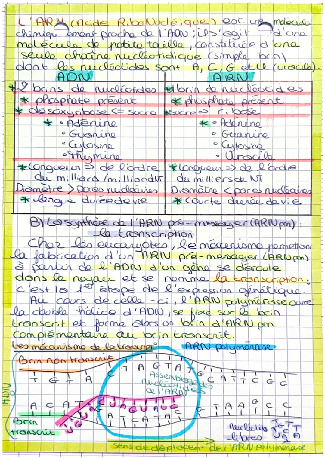 Chapise 4. ('expression du patrimoine natique
LADN contient des info sous la forme d'unités
que sont les gènes. Un gène est une info
codée p