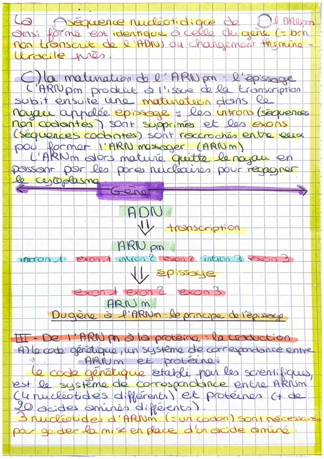 Chapise 4. ('expression du patrimoine natique
LADN contient des info sous la forme d'unités
que sont les gènes. Un gène est une info
codée p