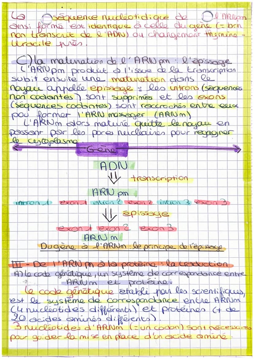 Chapise 4. ('expression du patrimoine natique
LADN contient des info sous la forme d'unités
que sont les gènes. Un gène est une info
codée p