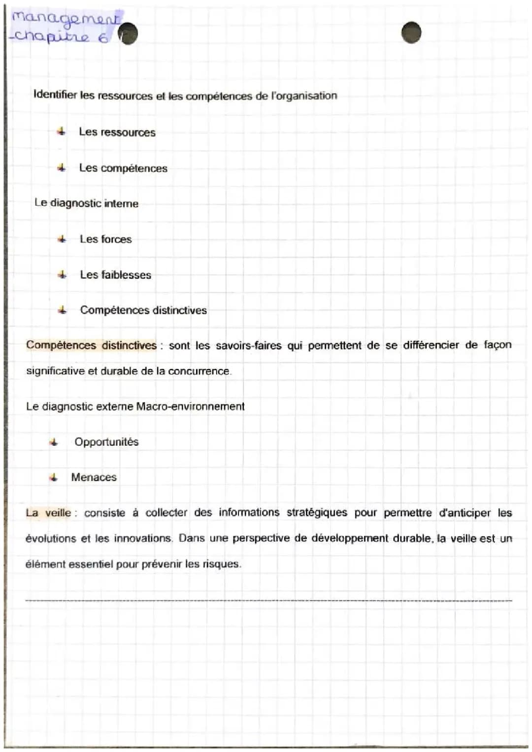 Diagnostic interne et externe Management STMG: Exemples et Tableaux pour les 10 ans