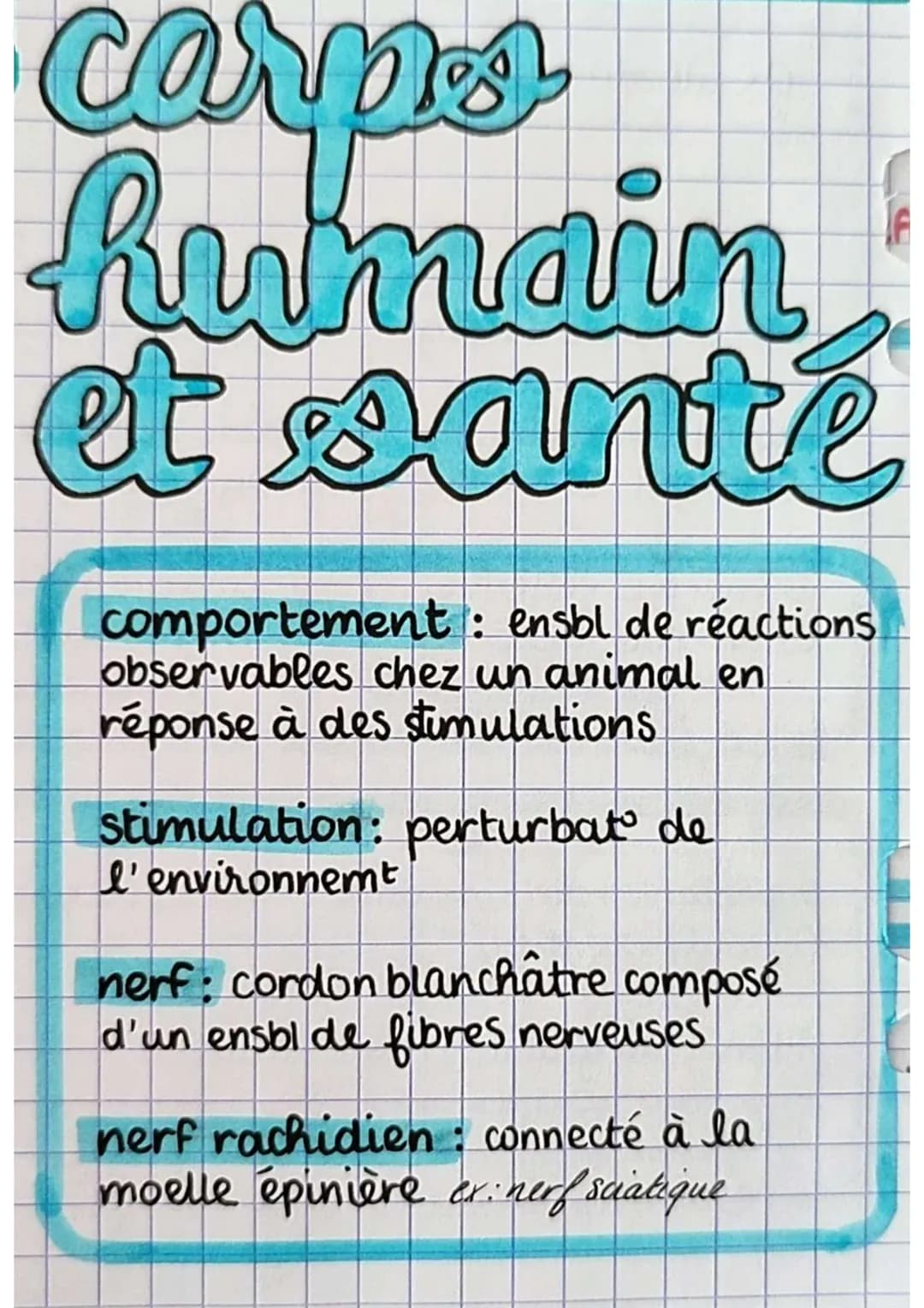 carps
humain
et santé
comportement: ensbl de réactions
observables chez un animal en
réponse à des stimulations
stimulation: perturbat de
l'