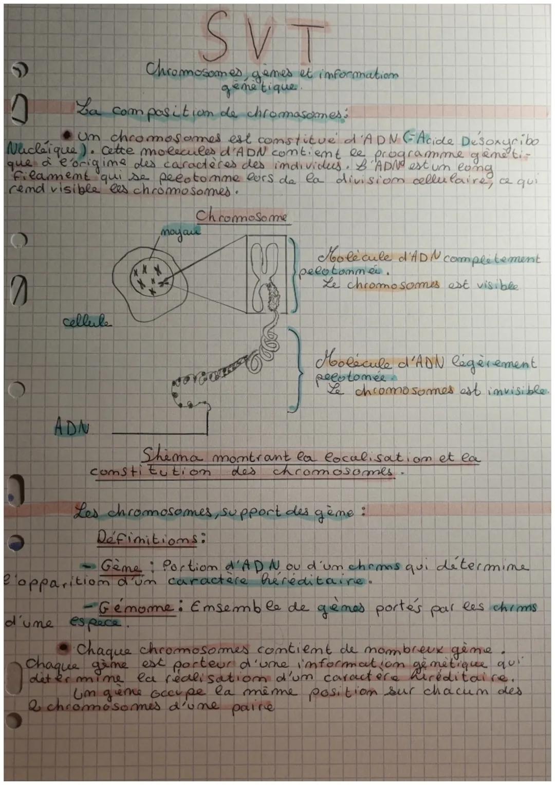 Svt Chromosomes,gènes et informations génétique 