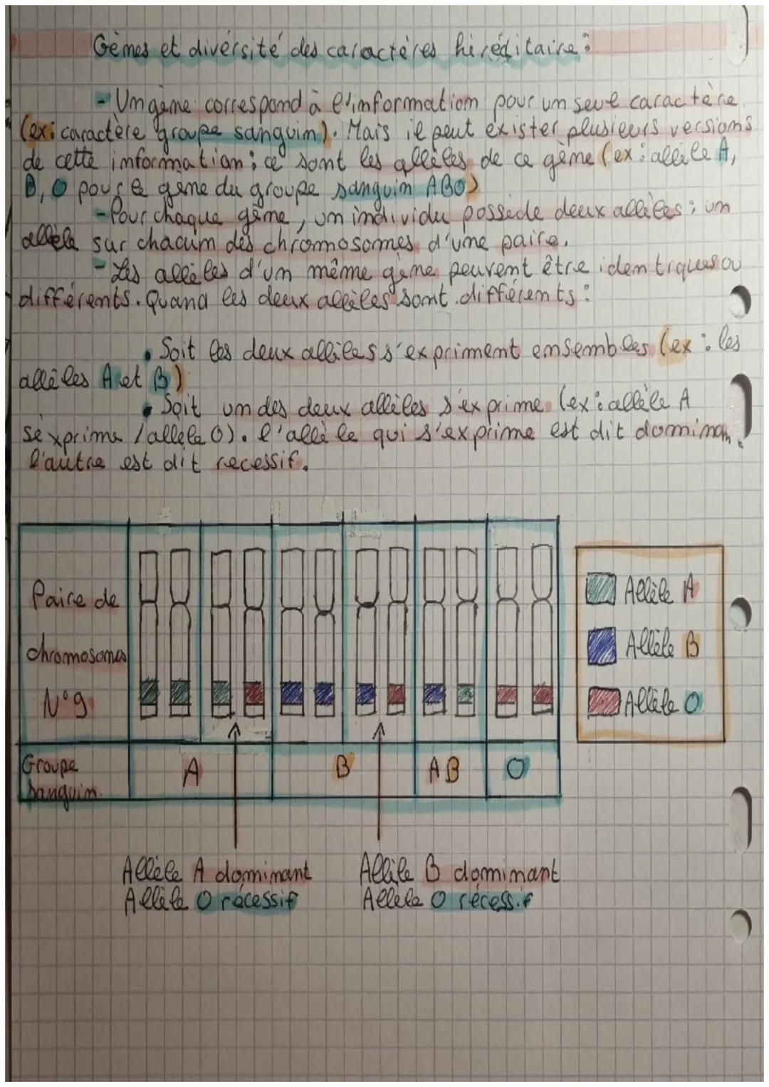 # SVT

Chromosomes, gemes et information
geme tique.

La composition de chromosomes:

*   um chromosomes est constitue d'ADN Acide Desoxyrib