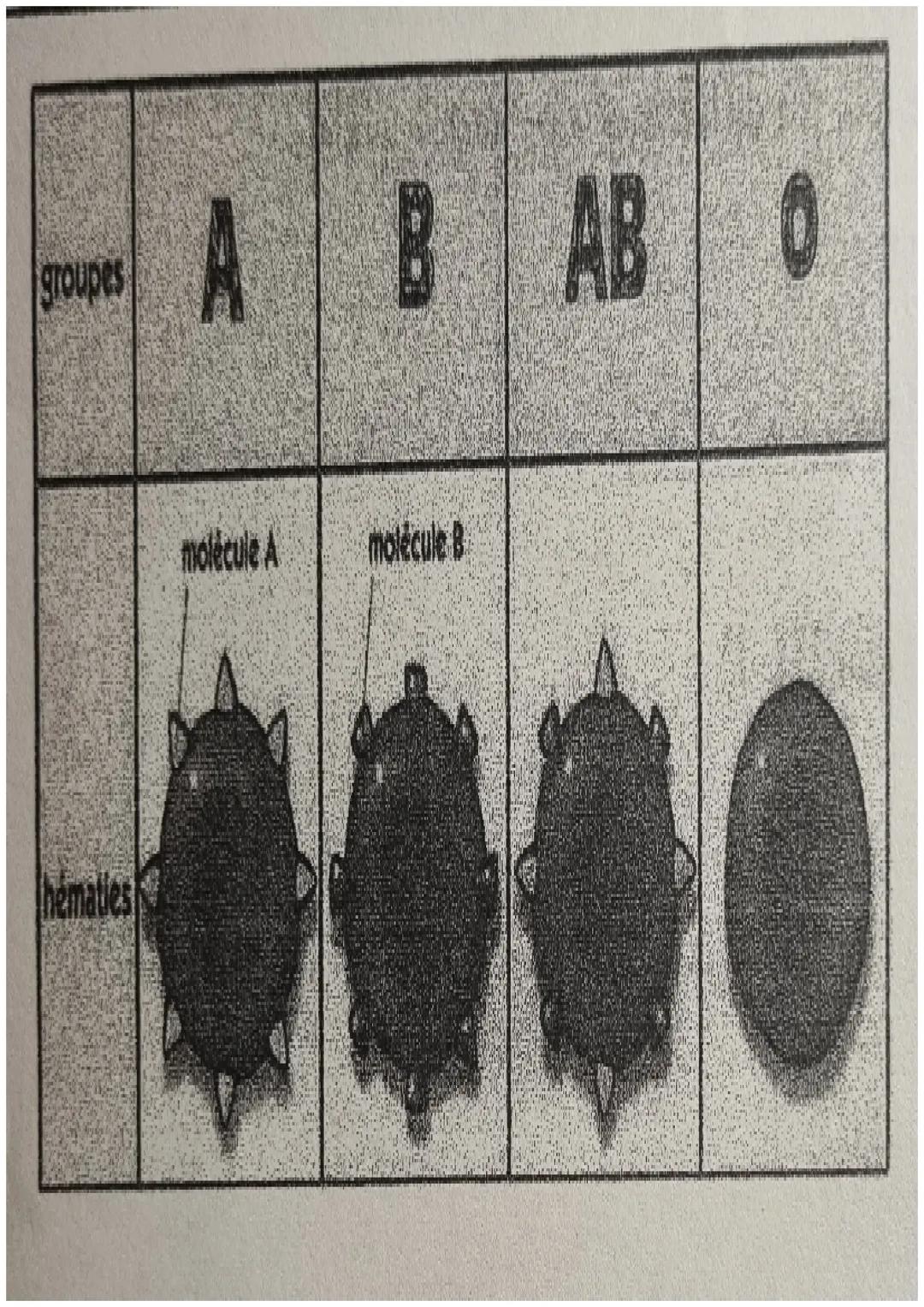 # SVT

Chromosomes, gemes et information
geme tique.

La composition de chromosomes:

*   um chromosomes est constitue d'ADN Acide Desoxyrib