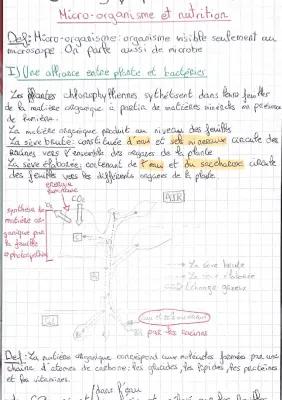 Know fiche de révision SVT sur le micro-organisme et nutrition  thumbnail