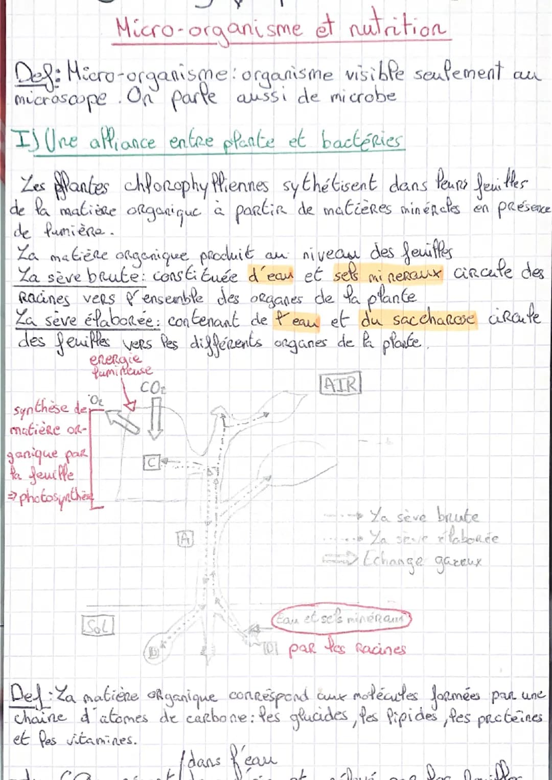 Micro-organisme et nutrition
Def: Micro-organisme: organisme visible seulement an
microscope. On parle aussi de microbe
Is Une alliance entr
