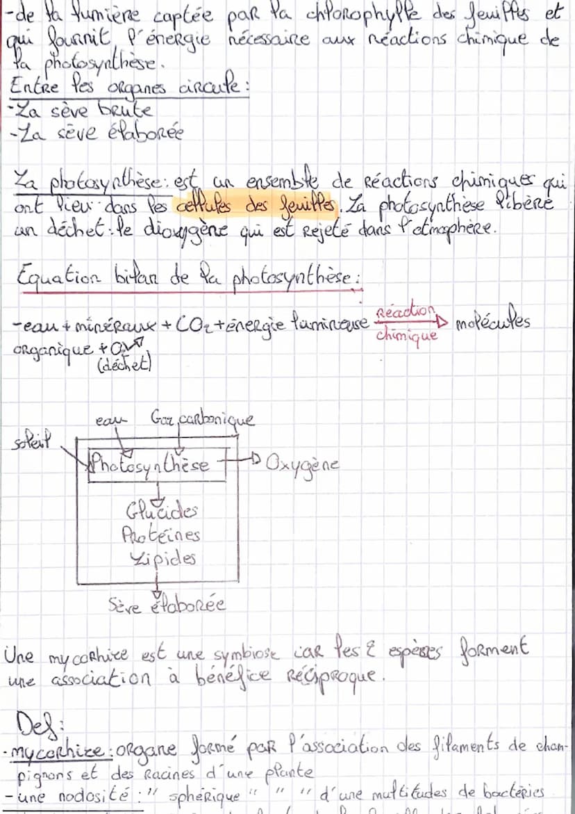 Micro-organisme et nutrition
Def: Micro-organisme: organisme visible seulement an
microscope. On parle aussi de microbe
Is Une alliance entr
