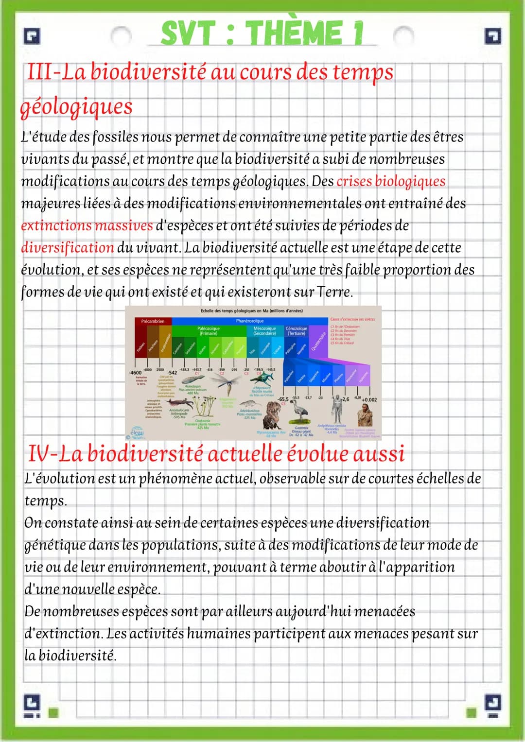 G
modifications
attention! une fiche de vocabulaire est disponible dans le même
dossier SVT que cette fiche de révision !!!!
Problématique:Q
