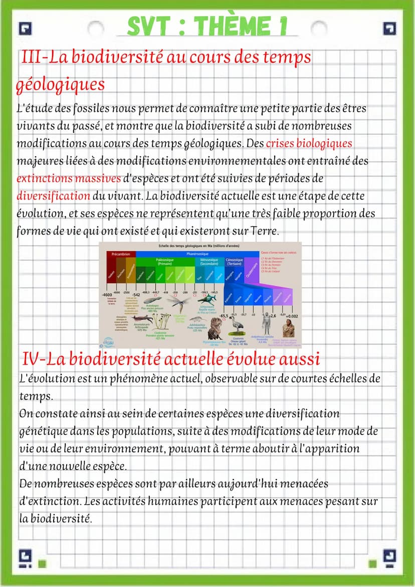 G
modifications
attention! une fiche de vocabulaire est disponible dans le même
dossier SVT que cette fiche de révision !!!!
Problématique:Q