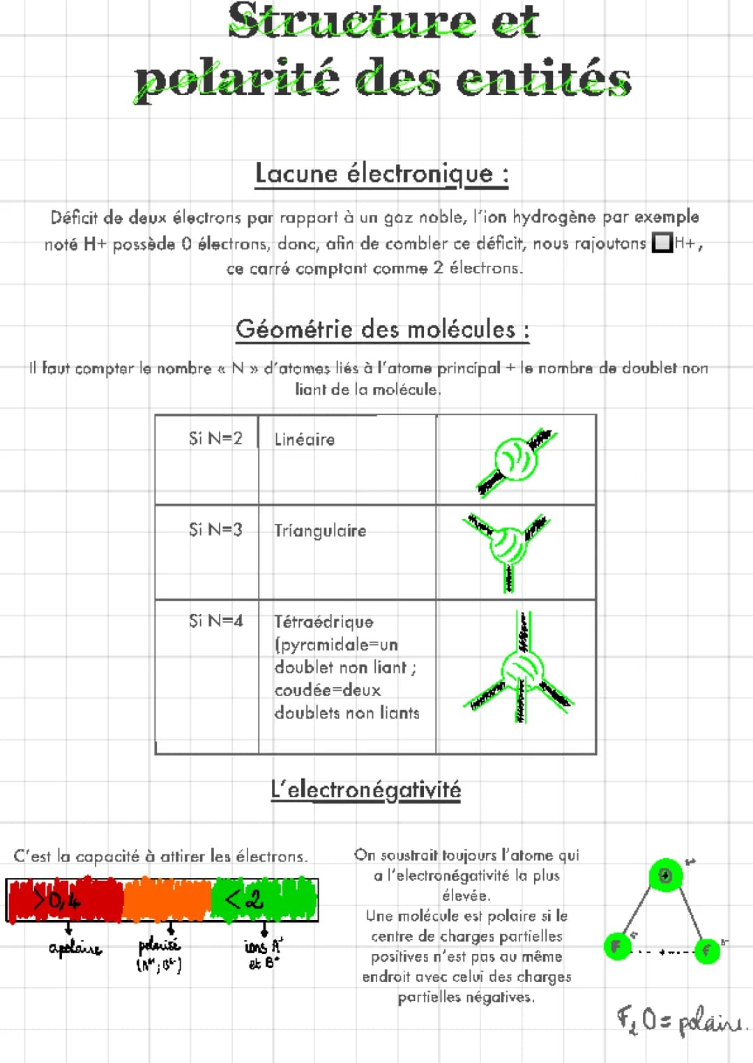 Structure et polarité des entités
