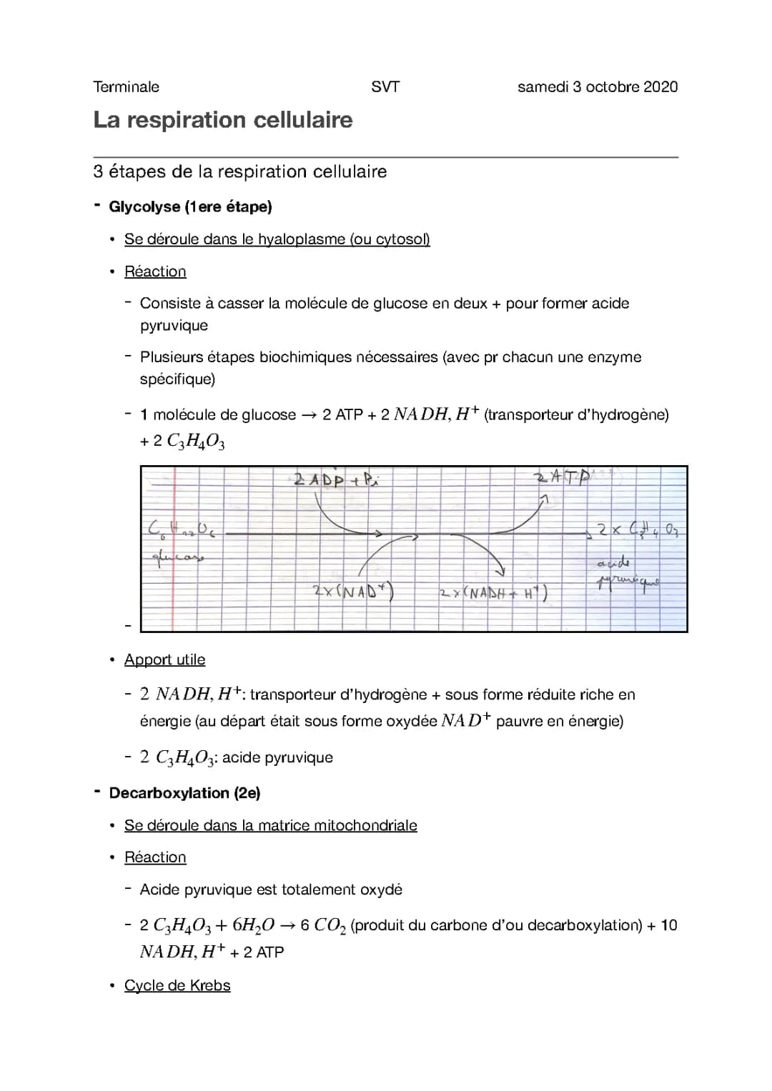 Cours 4.1 - Respiration cellulaire
