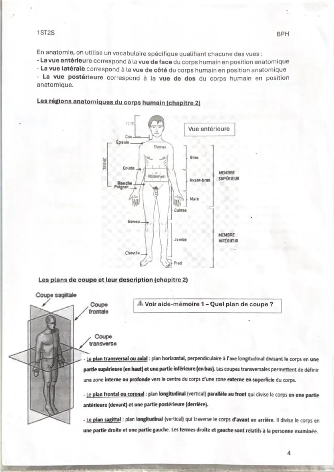 1ST25

Fiche de révision 1
Thème 1: Organisation et fonctionnement intégré de l'être humain
Chapitre 1: Les niveaux d'organisation de l'orga