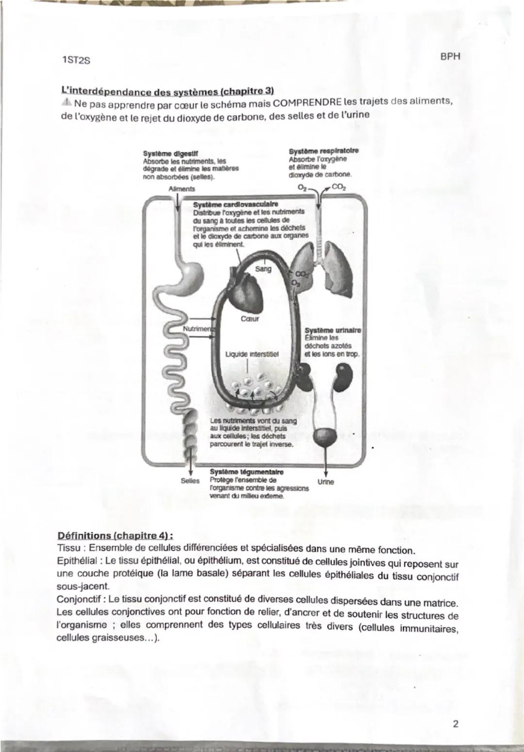 1ST25

Fiche de révision 1
Thème 1: Organisation et fonctionnement intégré de l'être humain
Chapitre 1: Les niveaux d'organisation de l'orga