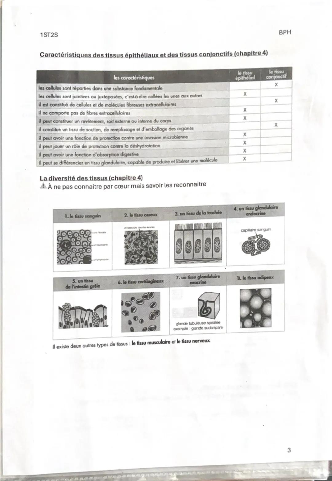 1ST25

Fiche de révision 1
Thème 1: Organisation et fonctionnement intégré de l'être humain
Chapitre 1: Les niveaux d'organisation de l'orga