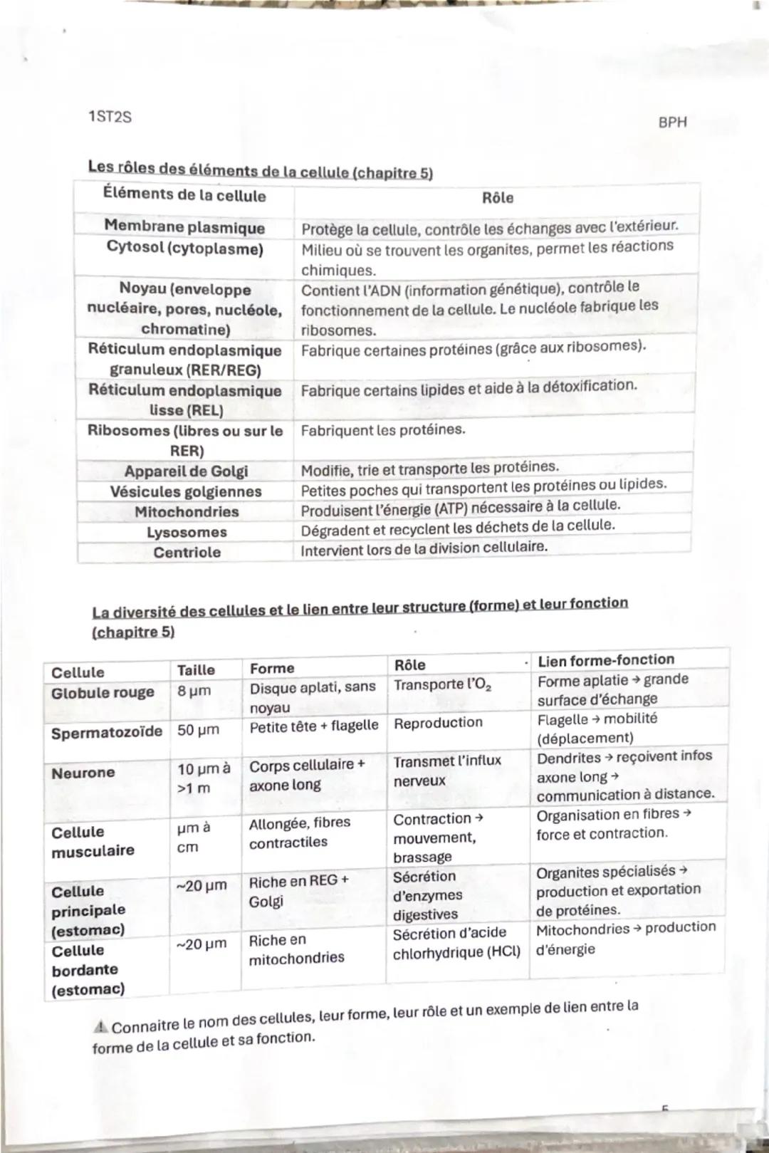 1ST25

Fiche de révision 1
Thème 1: Organisation et fonctionnement intégré de l'être humain
Chapitre 1: Les niveaux d'organisation de l'orga