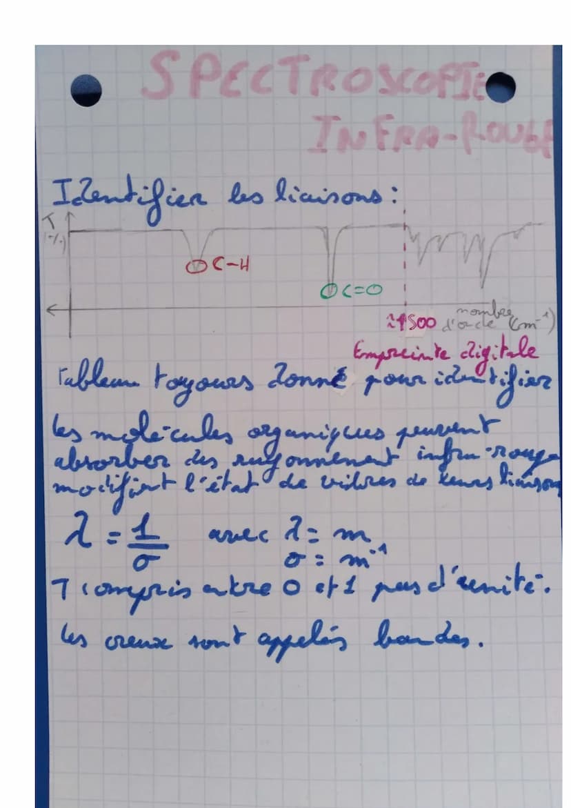 •molecules•
organiques
FORMULES
informe
atomes
avec
principalement constituée
des éléments de carbone
et d'hydrogine
au moins une liaison C-