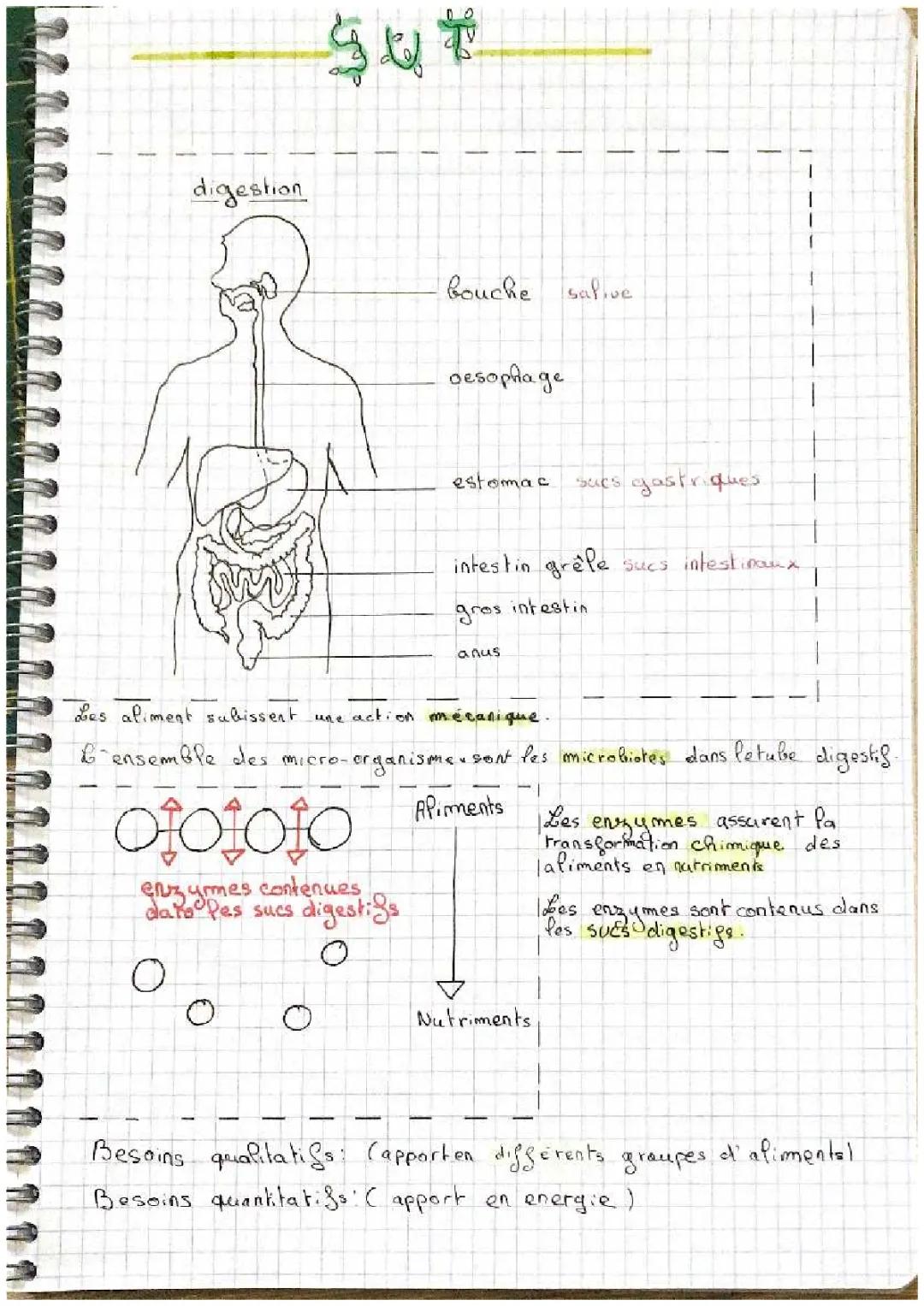 Nutrition 