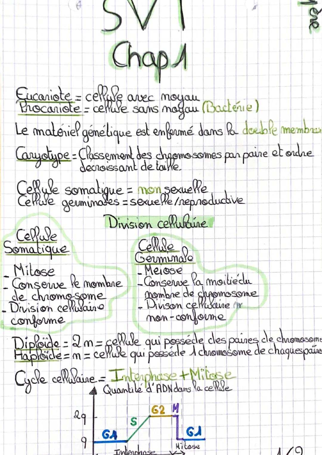 SVI
Спарл
Eucariote = cellule avec noyau
Procariote = cellule sans noyau (Bactérie)
Le matériel génétique est enfermé dans la double membres