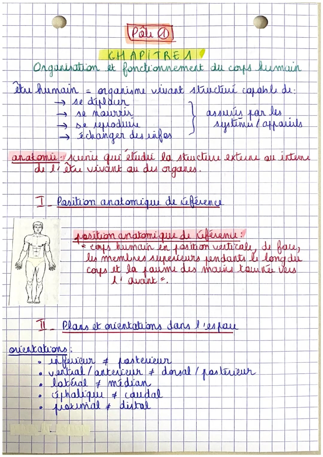 Pôle 1 : Organisation et fonctionnement de l’être humain